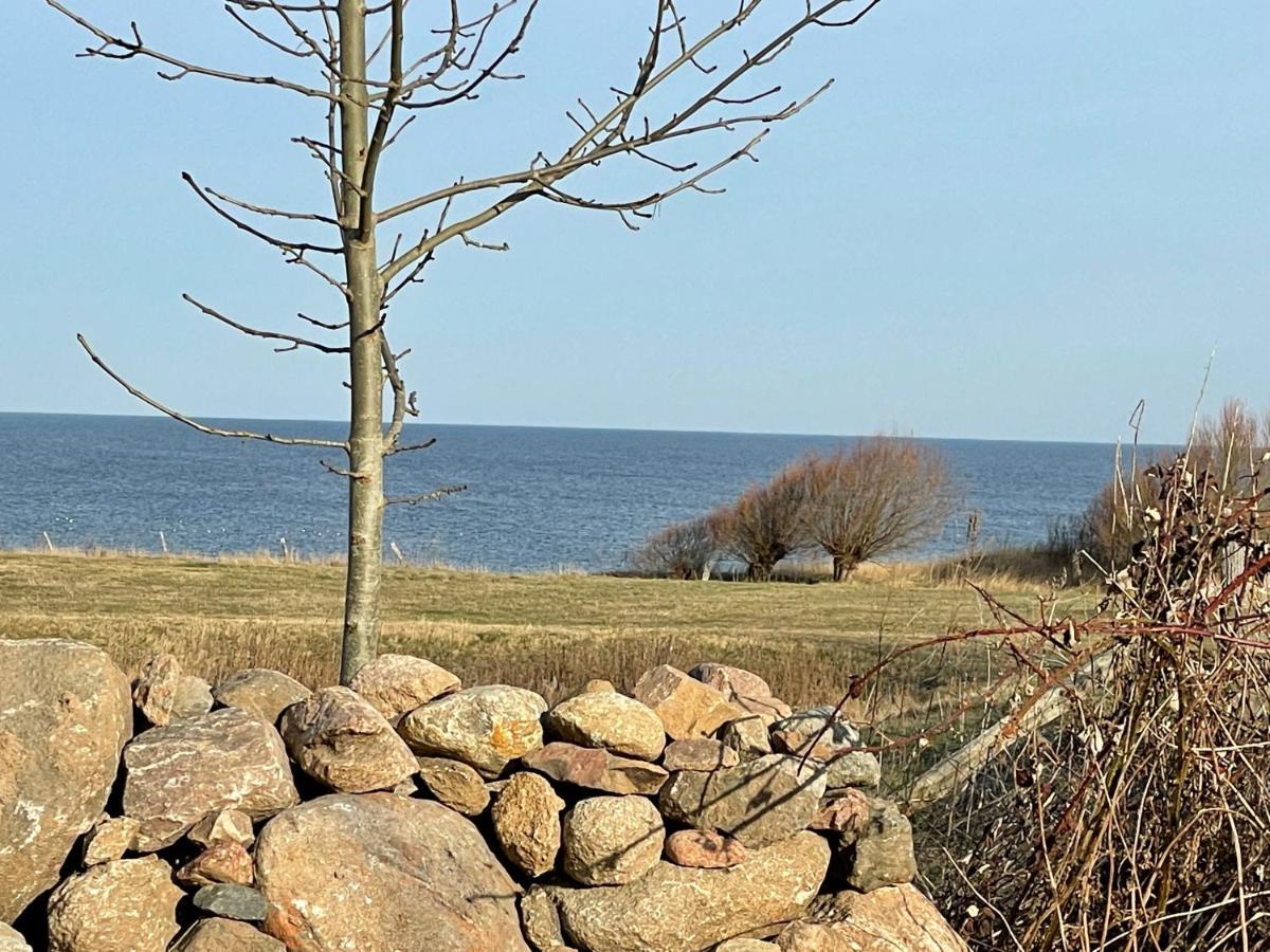 Ferienhaus Meerzeit Bastorf Exteriör bild